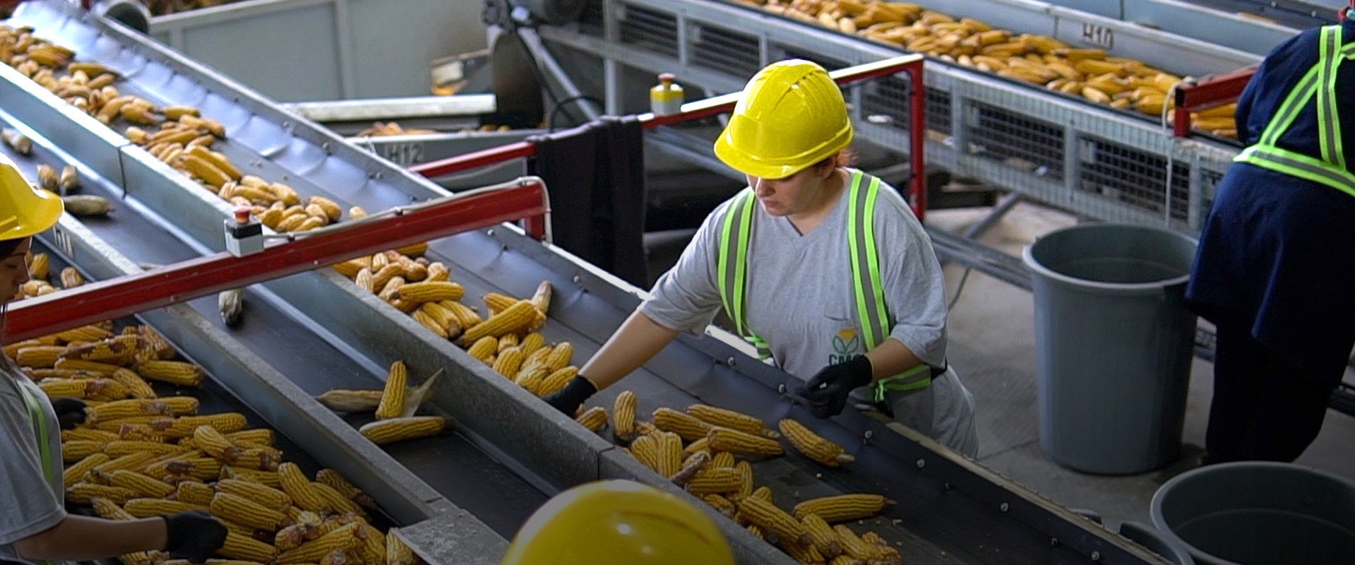 We suppport farmers with all invesments!