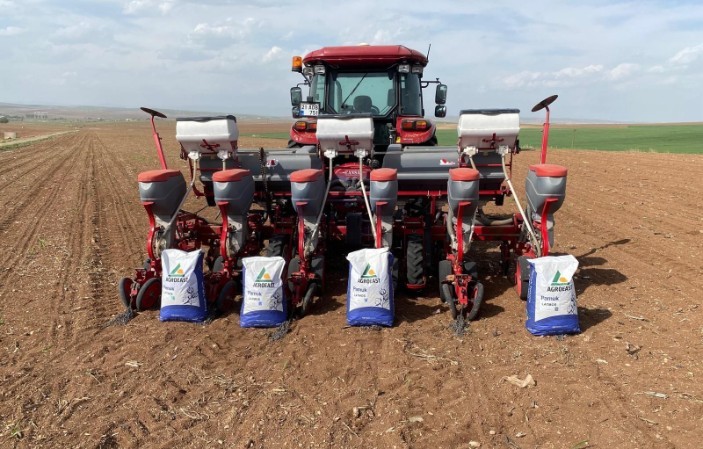 Cotton Seed Production Has Begun