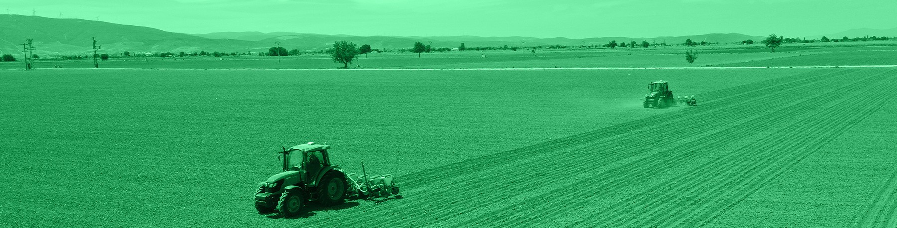 2024 Planting Season