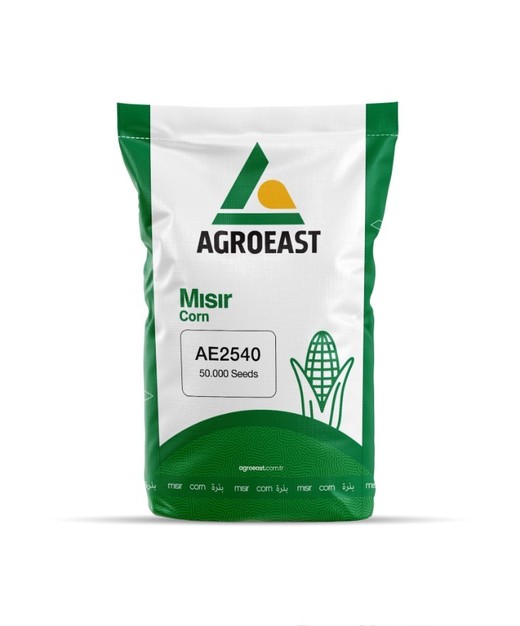 AE2540